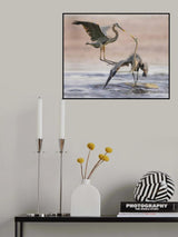 My spot Poster och Canvastavla