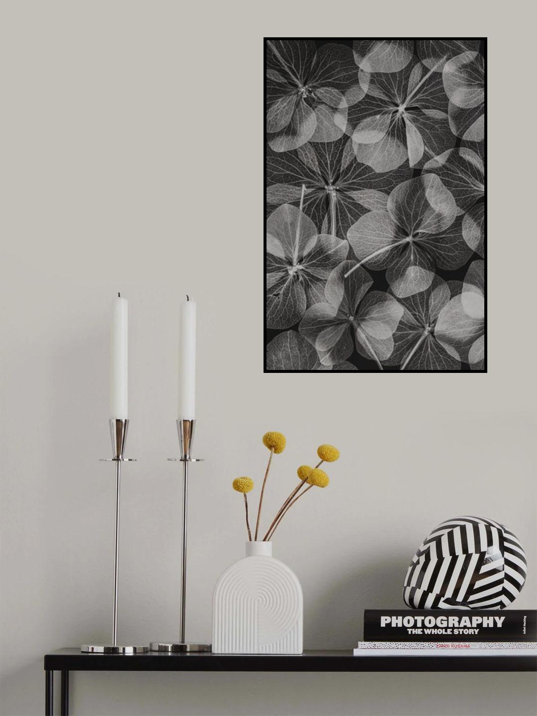 Botanical #48 Poster och Canvastavla
