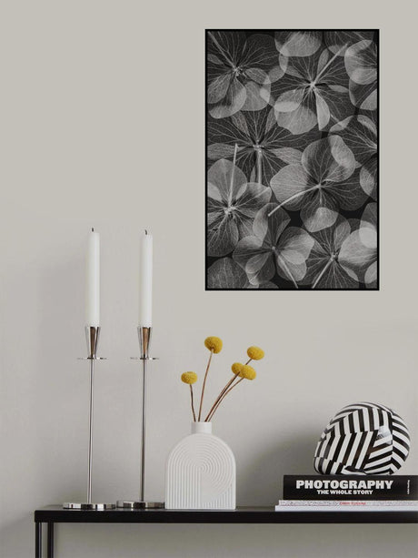 Botanical #48 Poster och Canvastavla