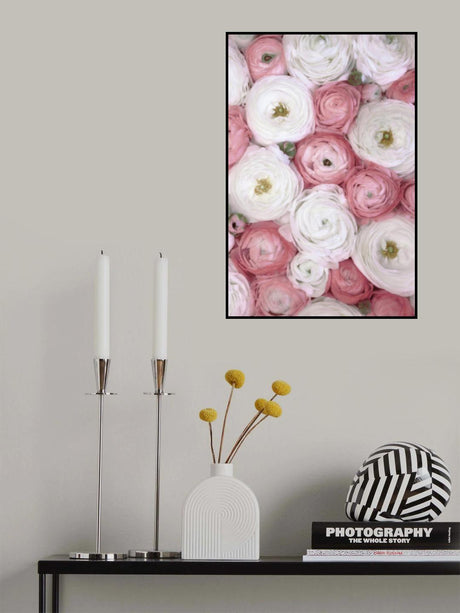 Scattered ranunculus in muted pink I Poster och Canvastavla