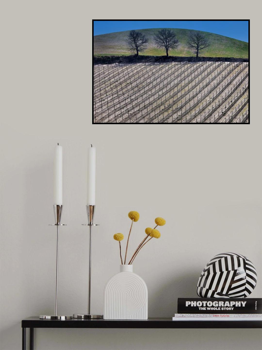 geometries Poster och Canvastavla