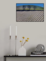 geometries Poster och Canvastavla