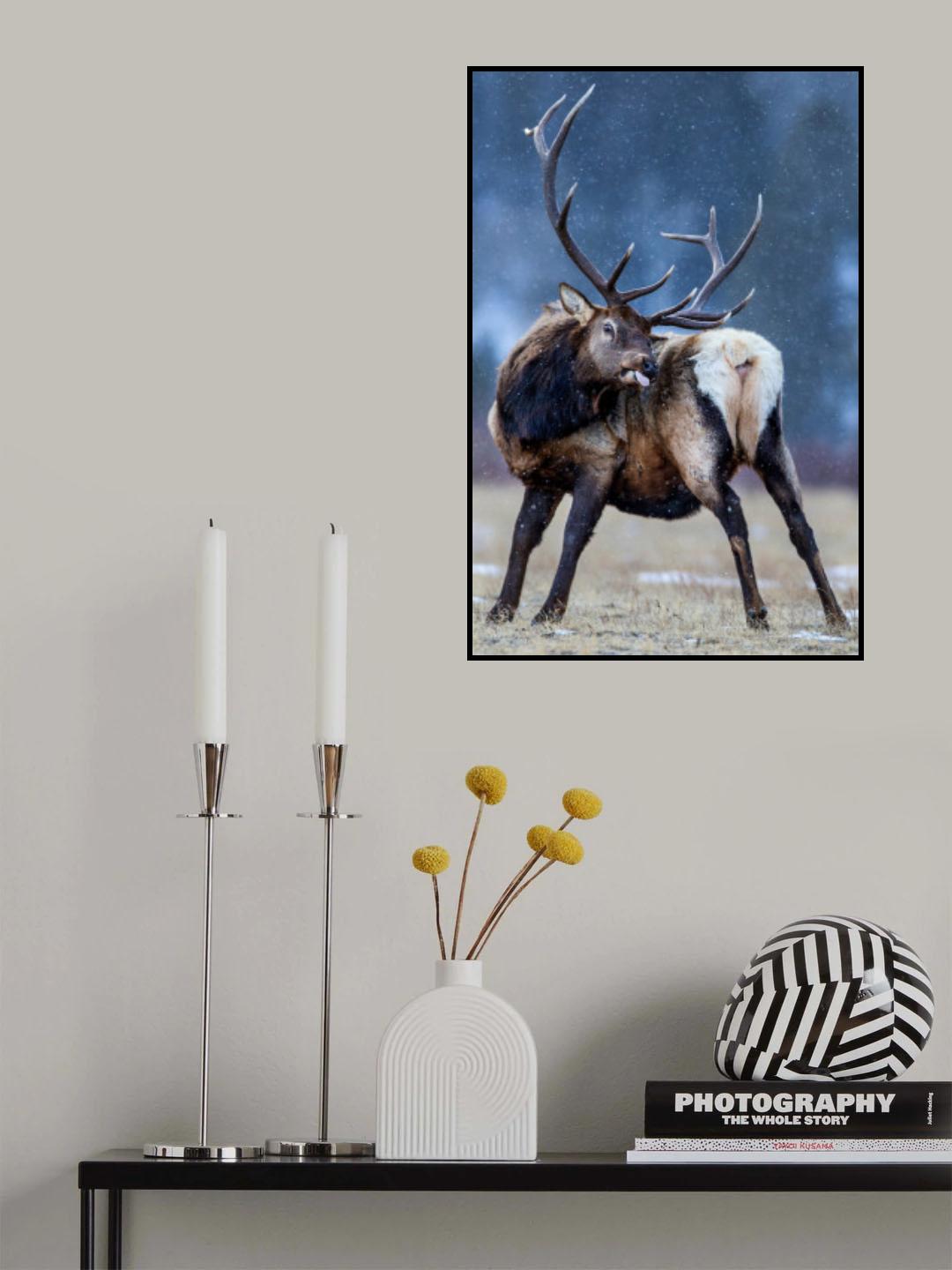 Catching the snowflakes Poster och Canvastavla