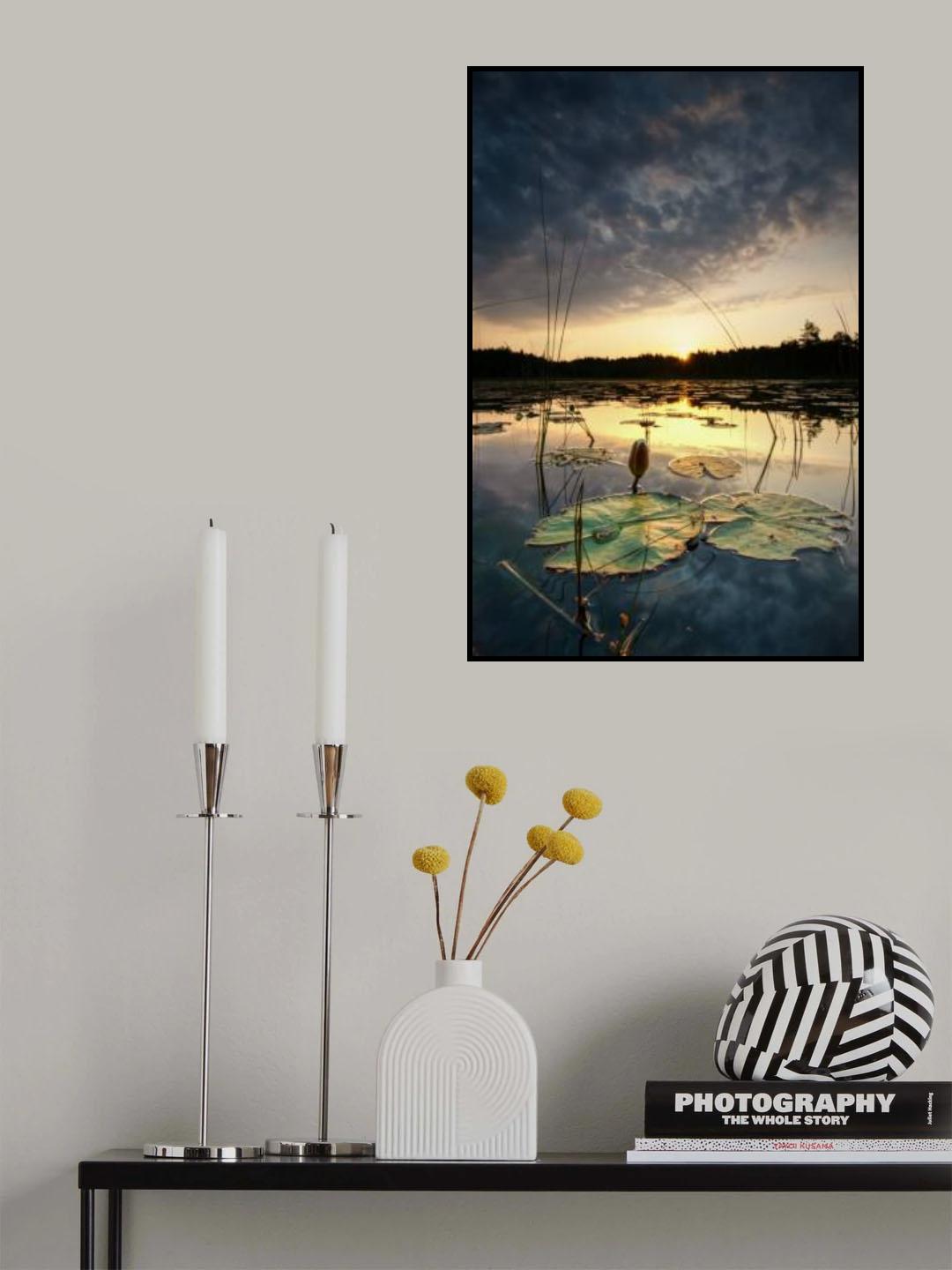 Water lily bud Poster och Canvastavla