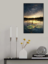 Water lily bud Poster och Canvastavla