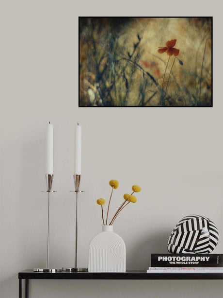 Solo Poster och Canvastavla