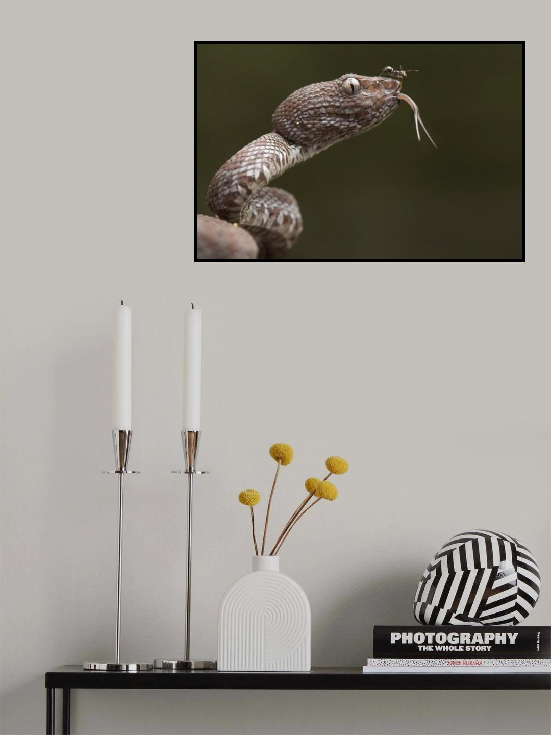 Trimeresurus purpureomaculatus and Formicidae (ant) Poster och Canvastavla