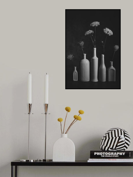 Daucus Carota Poster och Canvastavla