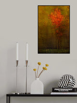 Beautiful tree Poster och Canvastavla