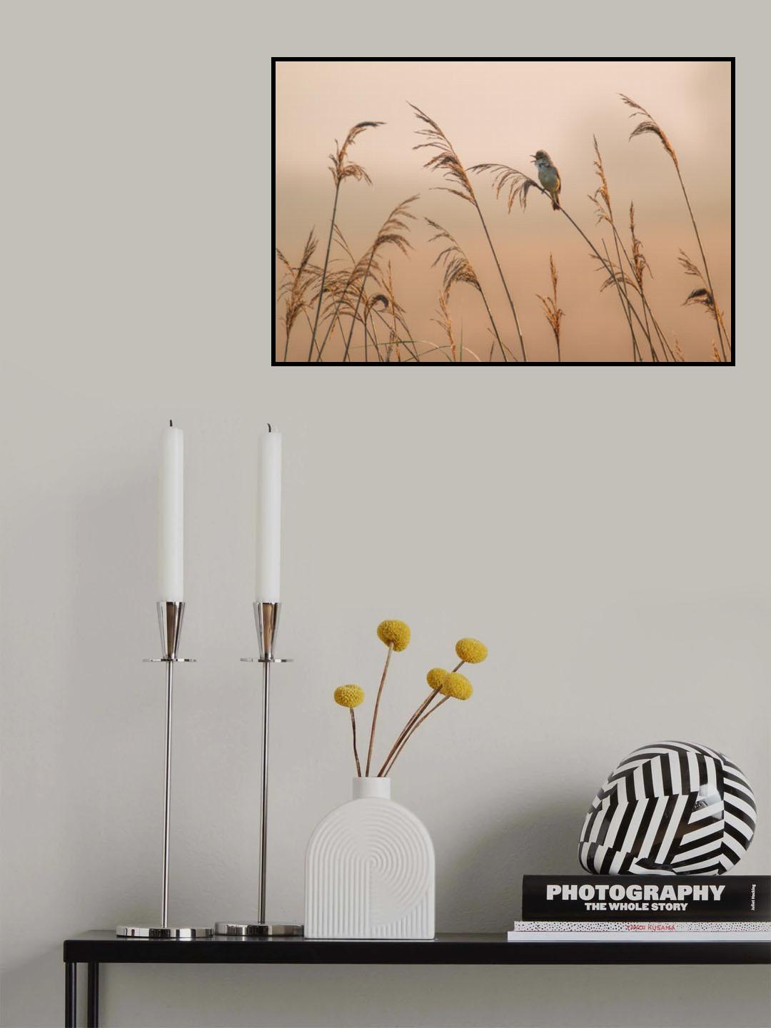 Poster och Canvastavla