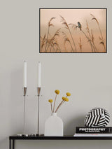 Poster och Canvastavla