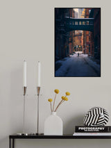 Under the Skybridge Poster och Canvastavla