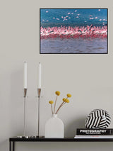 Lake Nakuru Flamingos Poster och Canvastavla