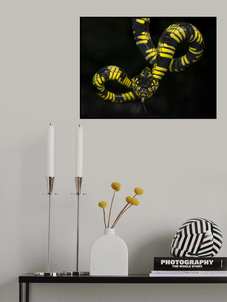 Alpha Poster och Canvastavla
