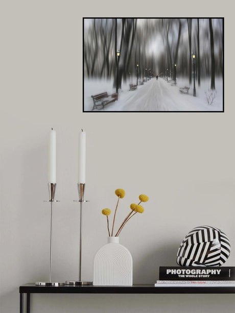 Winter park Poster och Canvastavla