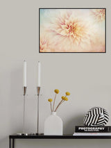 Peachy Poster och Canvastavla