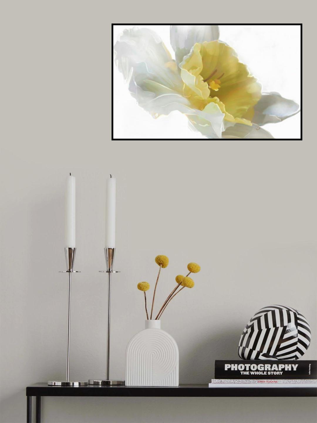 Daffodil Poster och Canvastavla