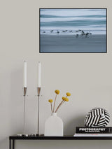 oystercatchers Poster och Canvastavla