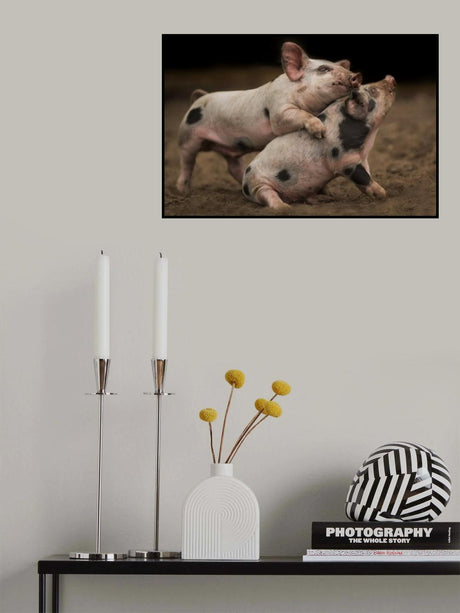 Play with me! Poster och Canvastavla