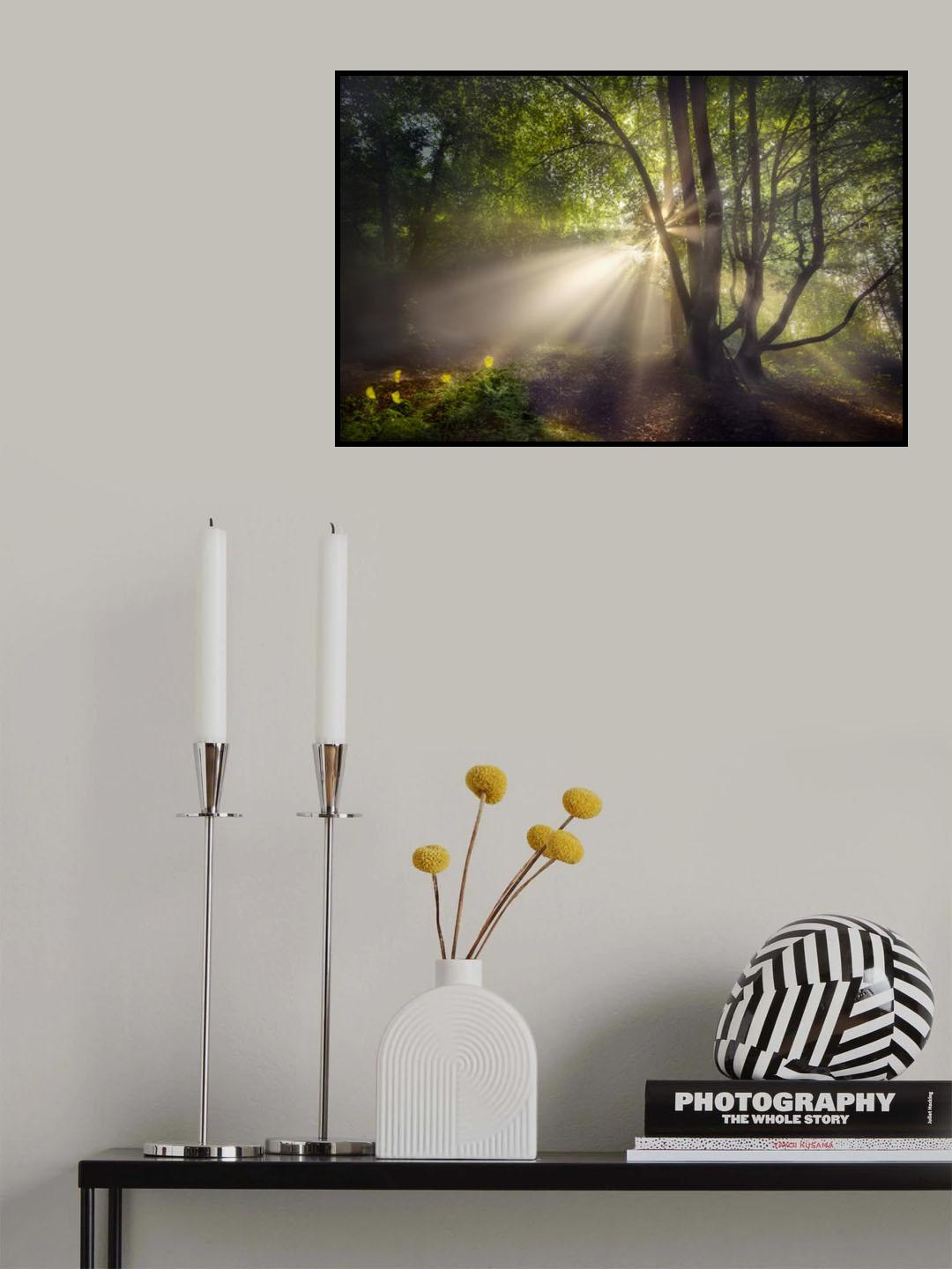 The morning light Poster och Canvastavla