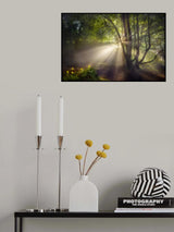 The morning light Poster och Canvastavla