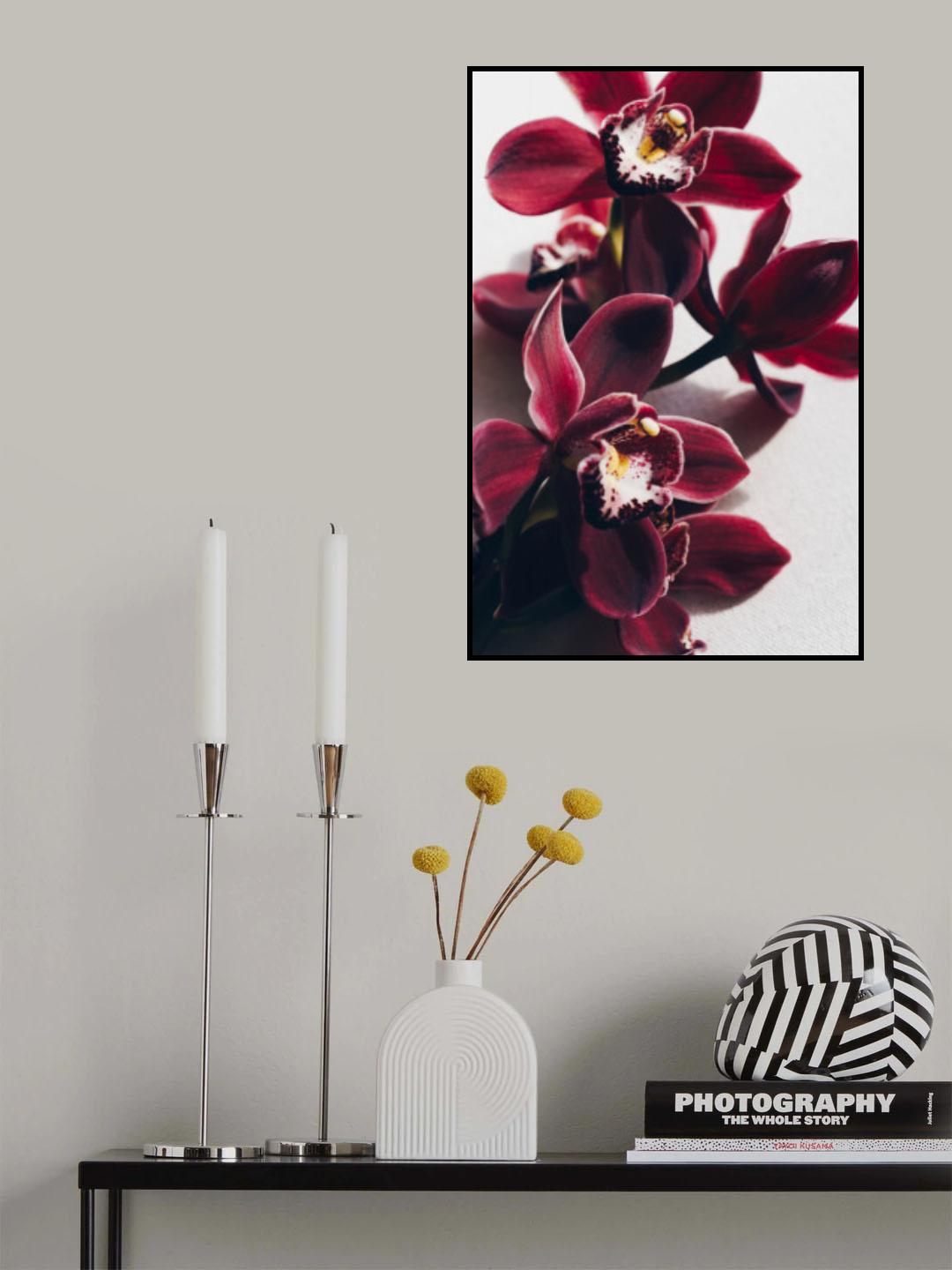 Delicate Orchid Poster och Canvastavla