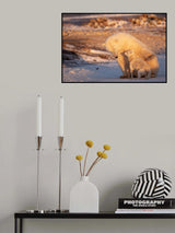 Dancing With The Bear Poster och Canvastavla