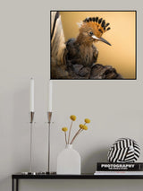 Hoop Poster och Canvastavla