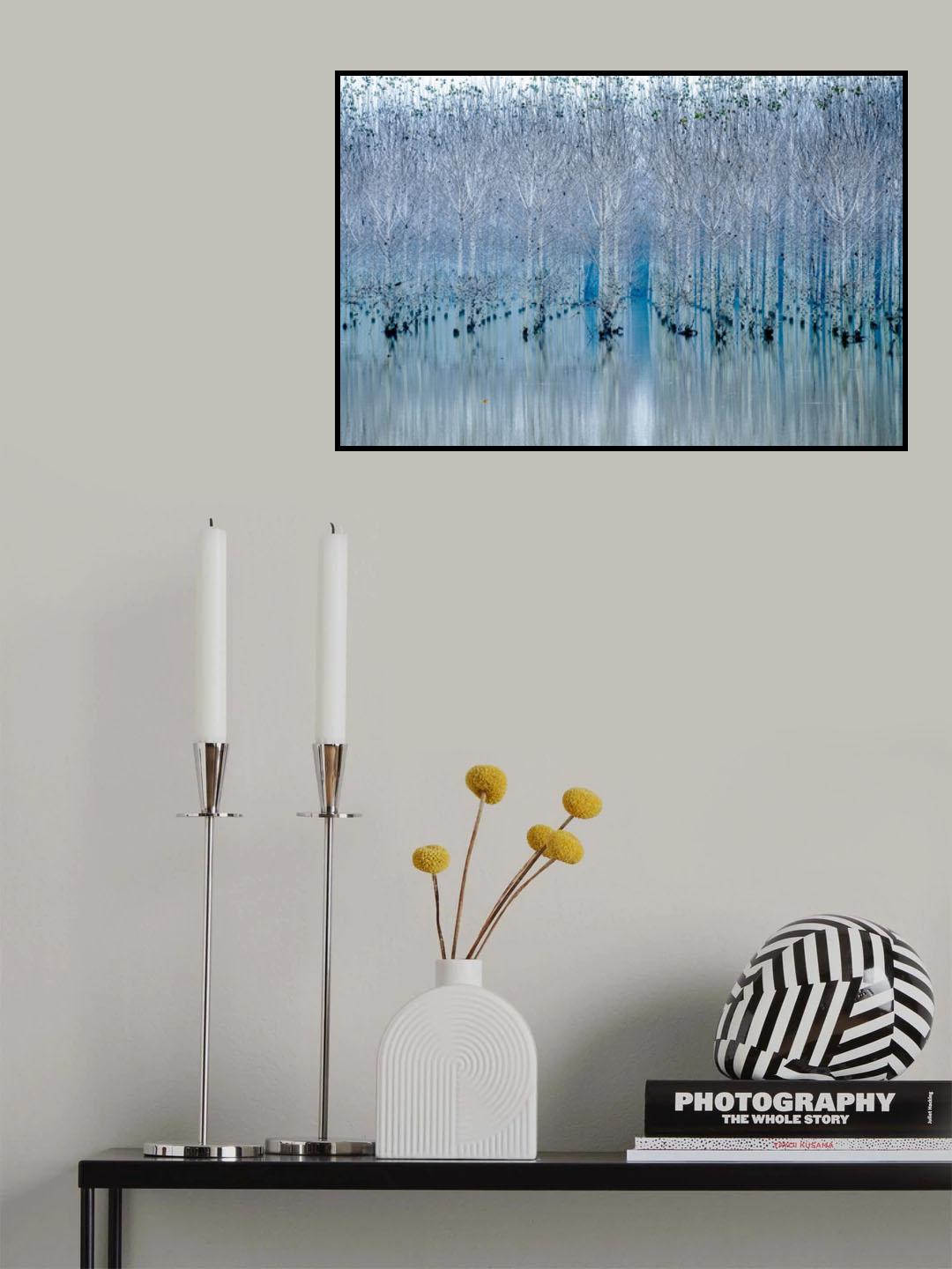Young forest Poster och Canvastavla