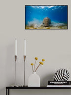 Get away, work in progress Poster och Canvastavla