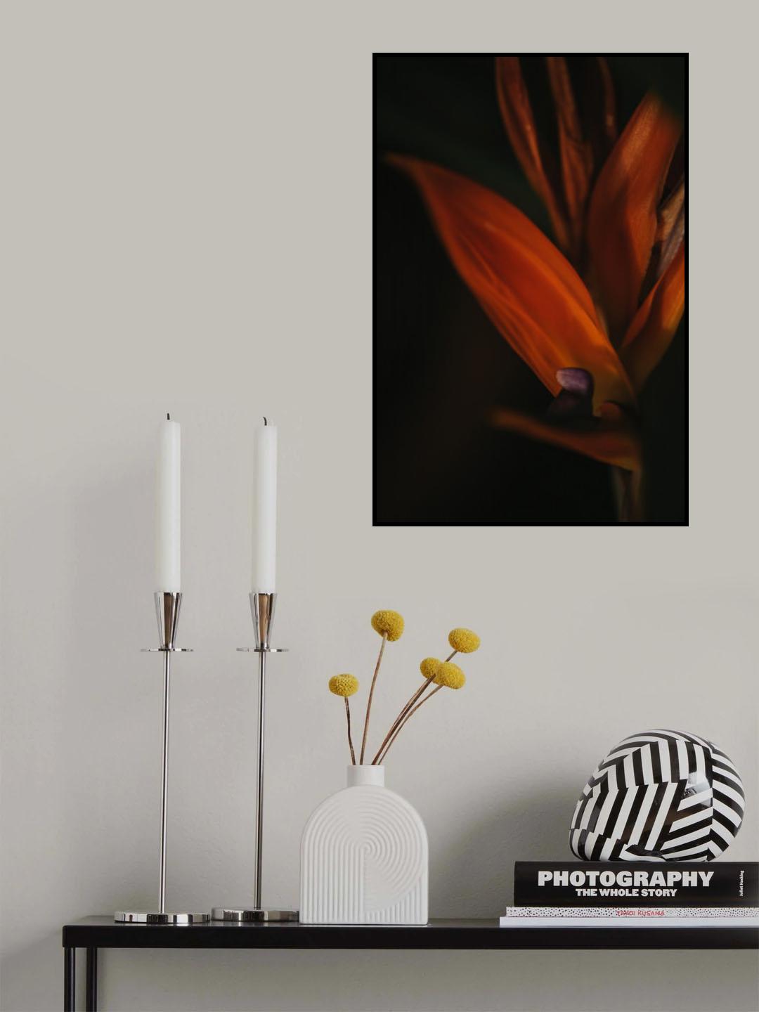 Botanical Series - Bird of Paradise Flower Poster och Canvastavla