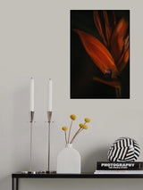 Botanical Series - Bird of Paradise Flower Poster och Canvastavla