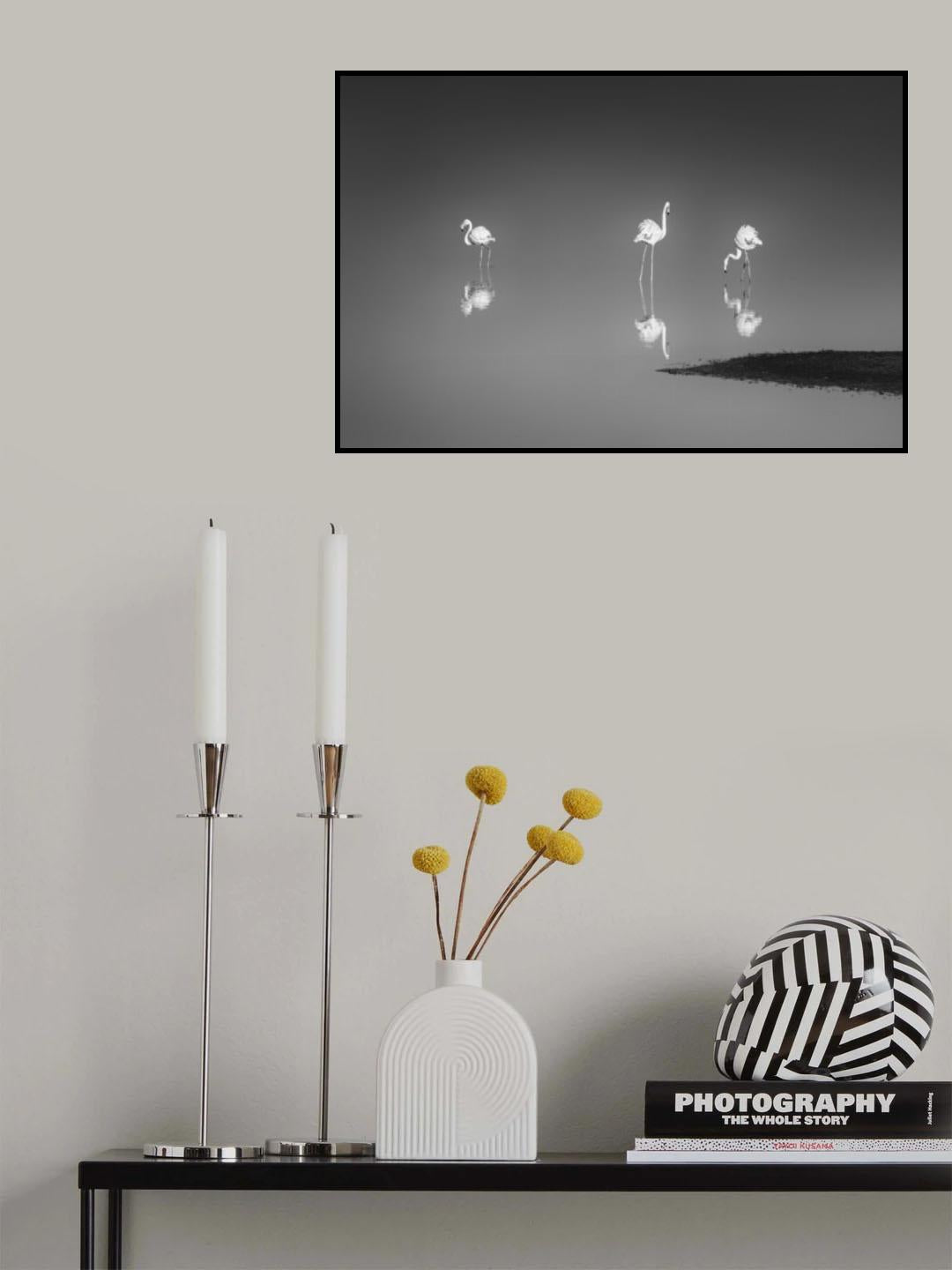 Three Flamingos Poster och Canvastavla