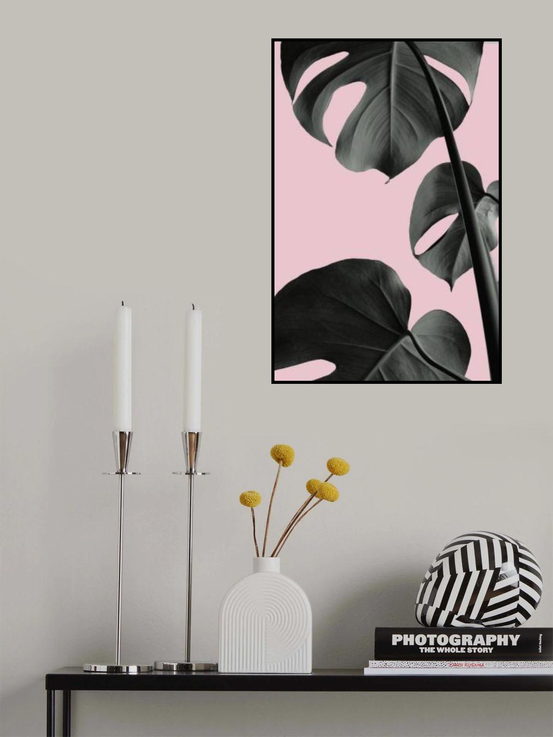 Monstera Pink No 03 Poster och Canvastavla