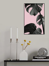 Monstera Pink No 03 Poster och Canvastavla