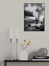 Geyser in action Poster och Canvastavla