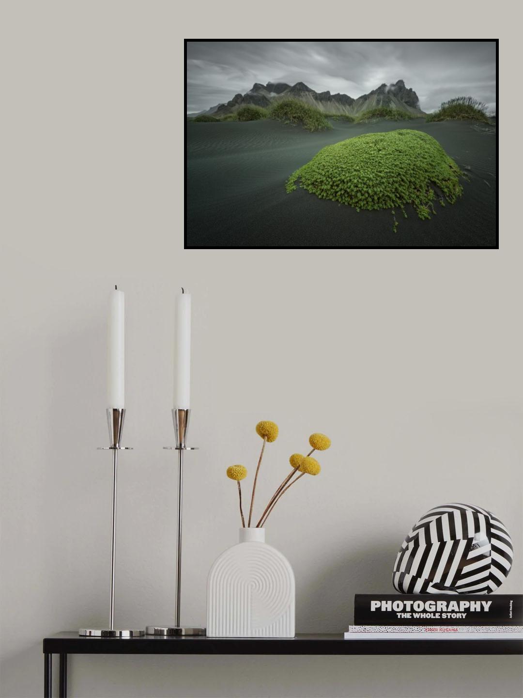 green Island Poster och Canvastavla