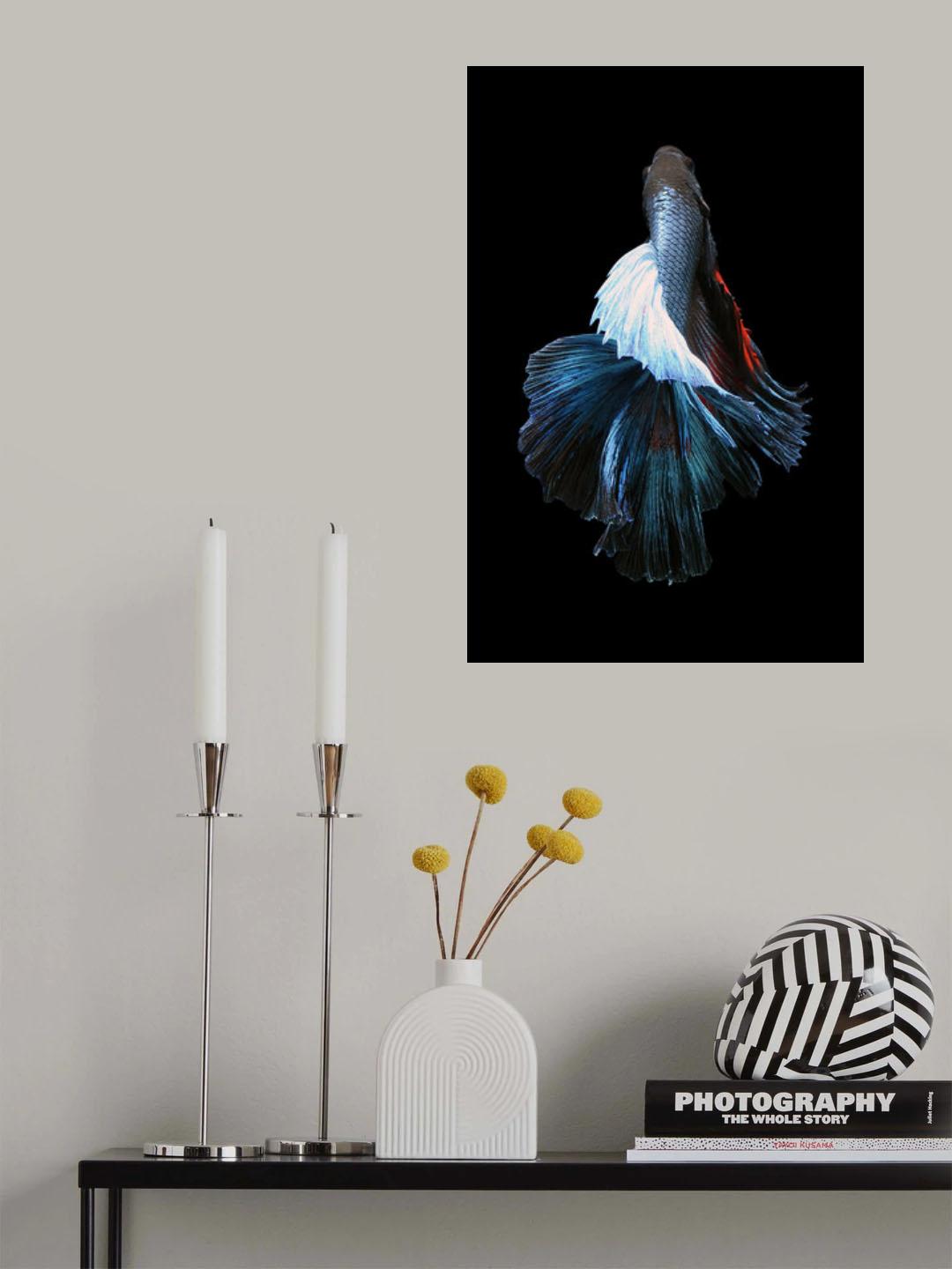 Betta Fish - Flower Of Rocket Poster och Canvastavla
