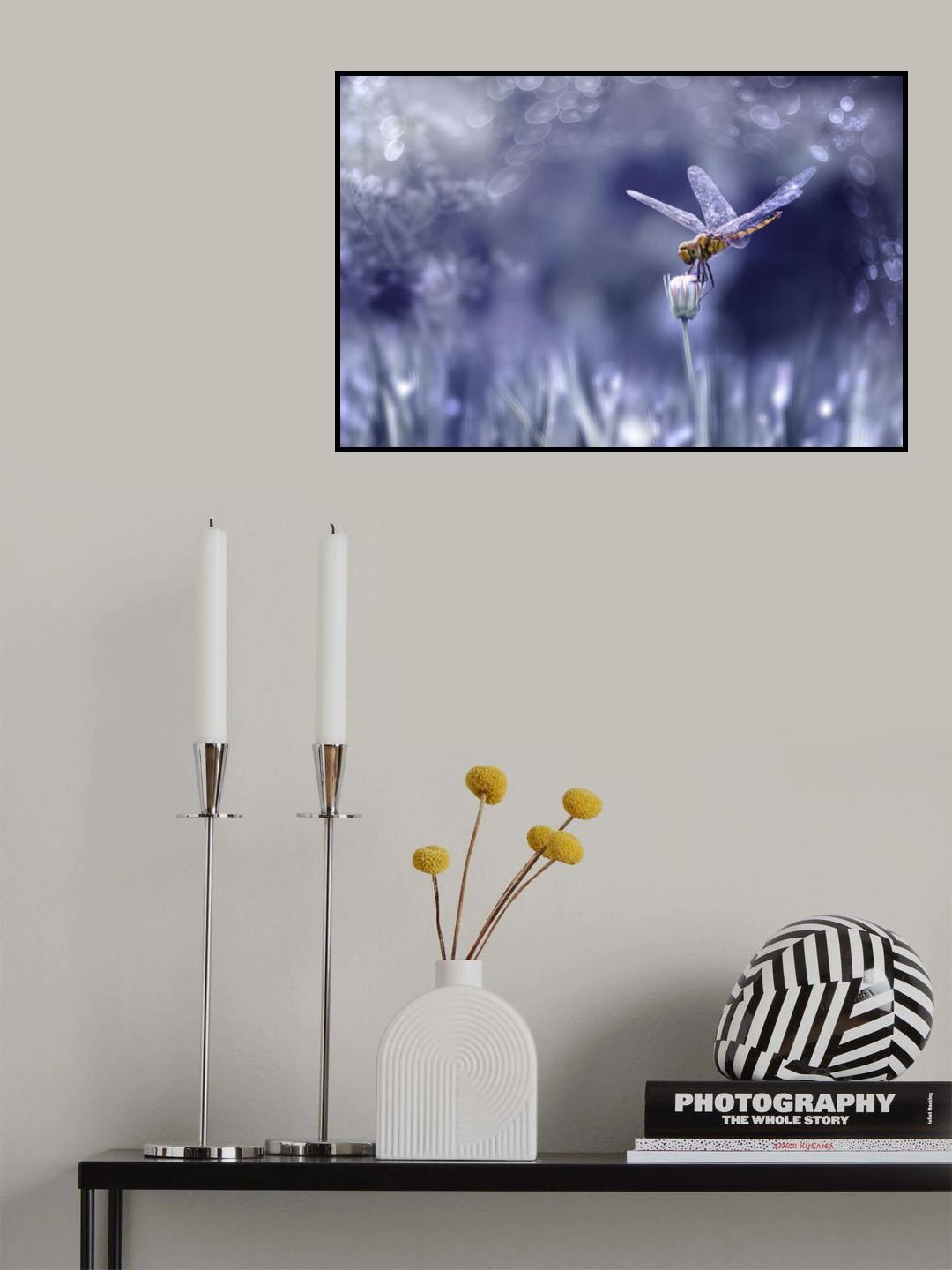 dragonfly Poster och Canvastavla