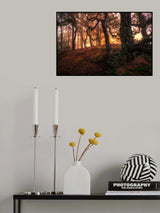 Hot Light Poster och Canvastavla