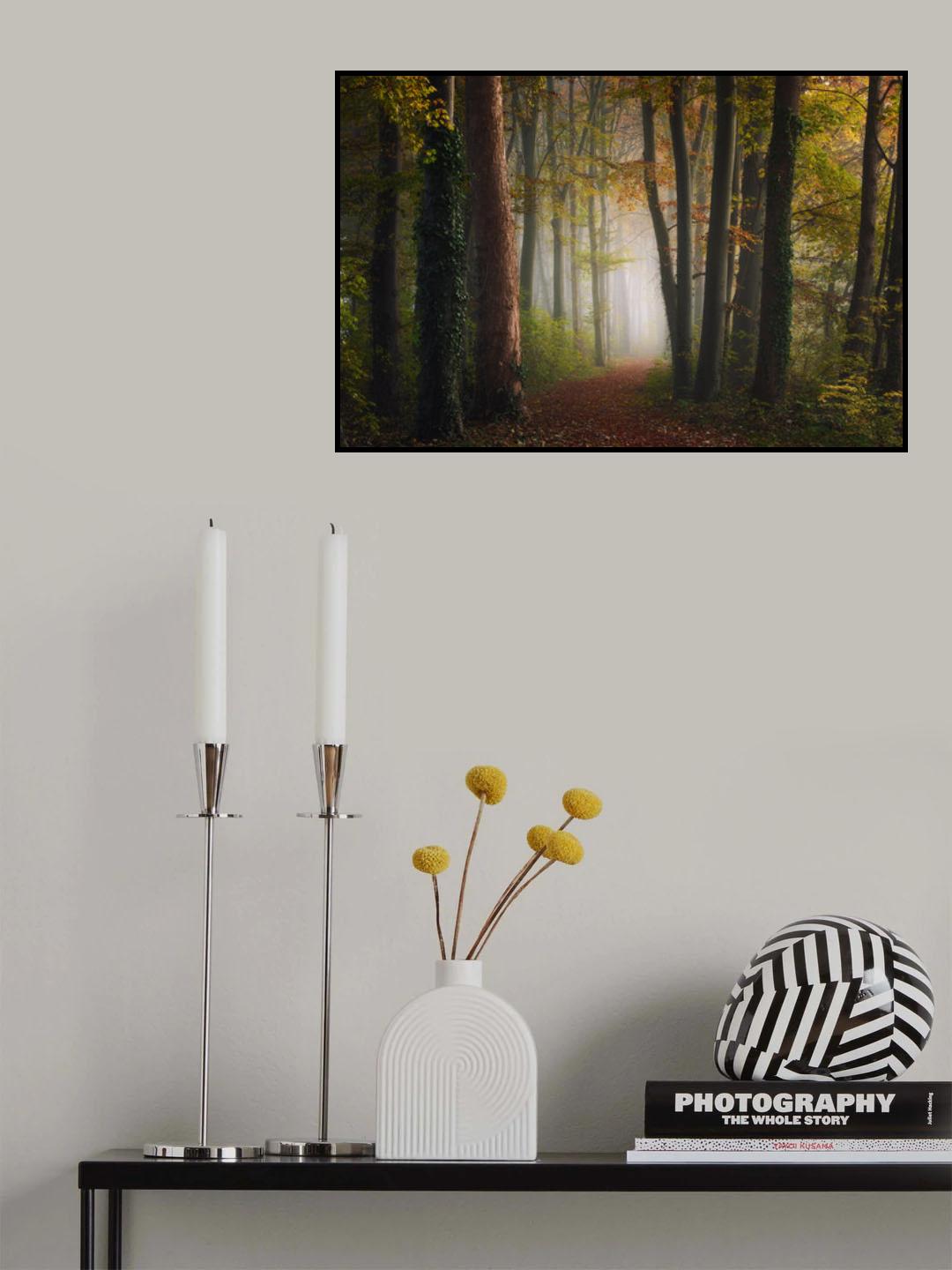 Autumn colorful forest Poster och Canvastavla