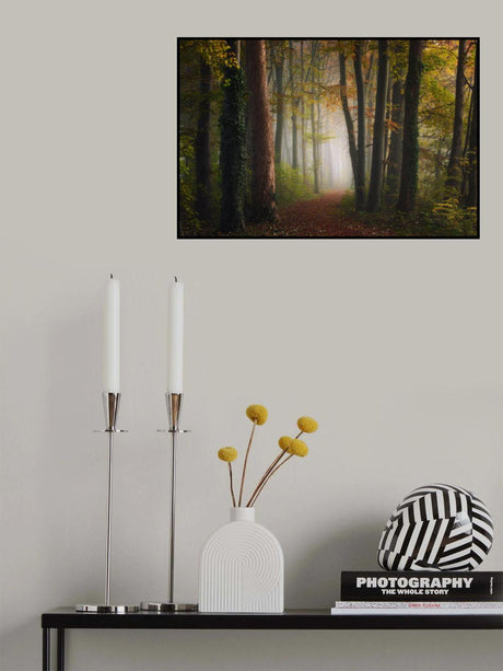 Autumn colorful forest Poster och Canvastavla