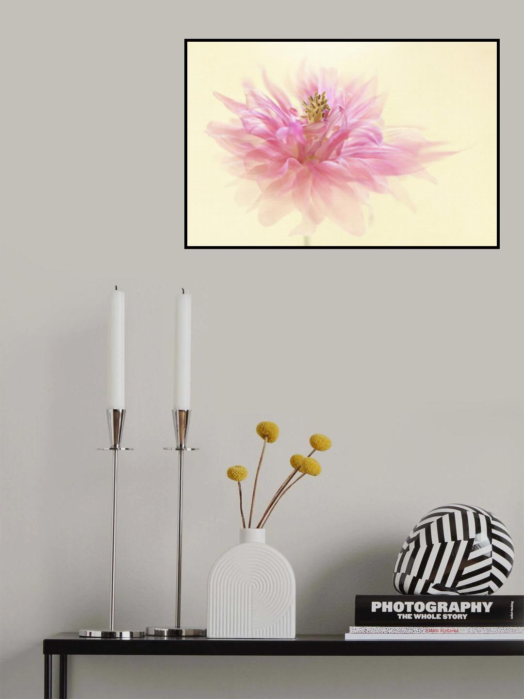 Translucent Poster och Canvastavla