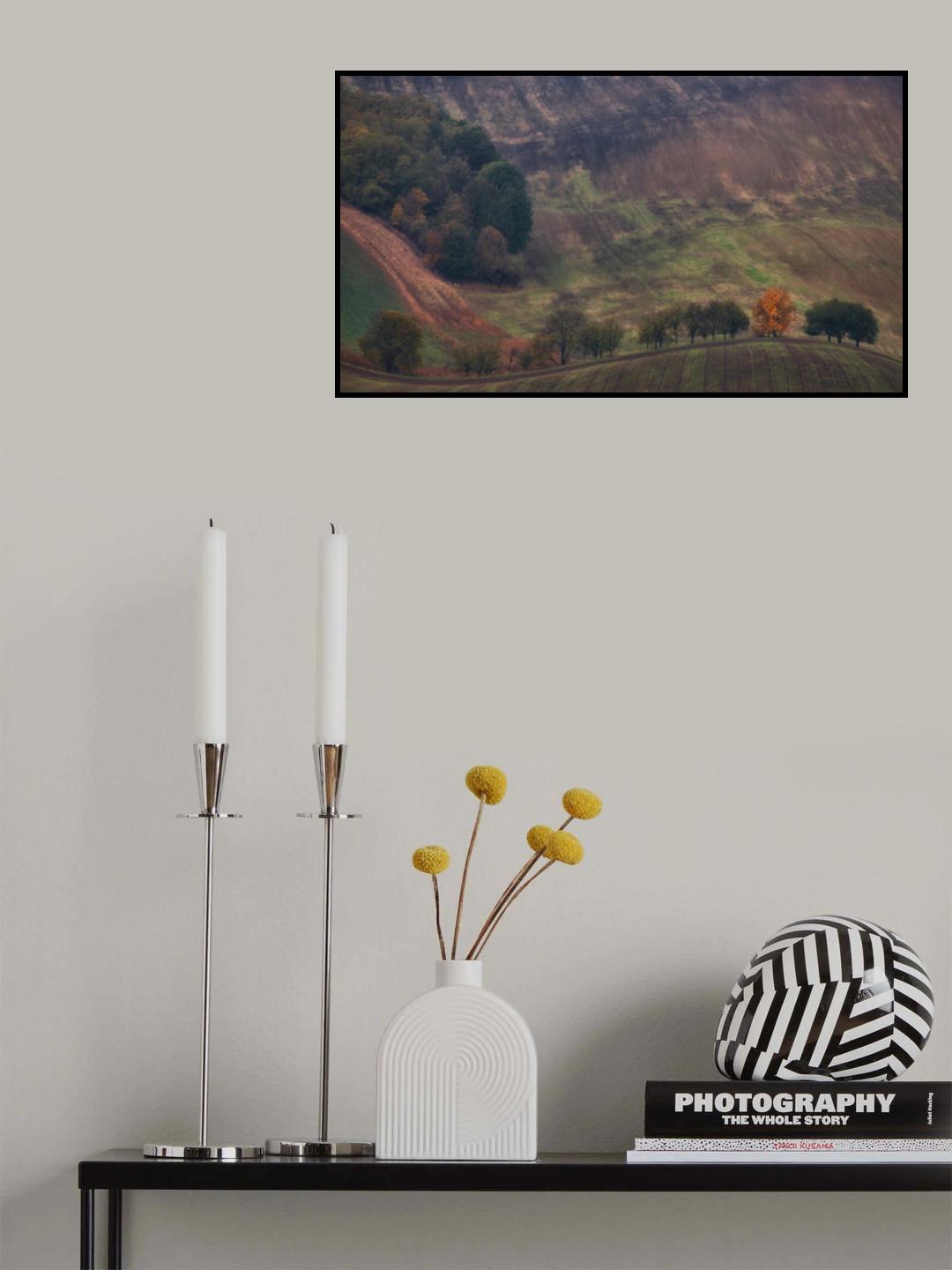 Fire in the field Poster och Canvastavla