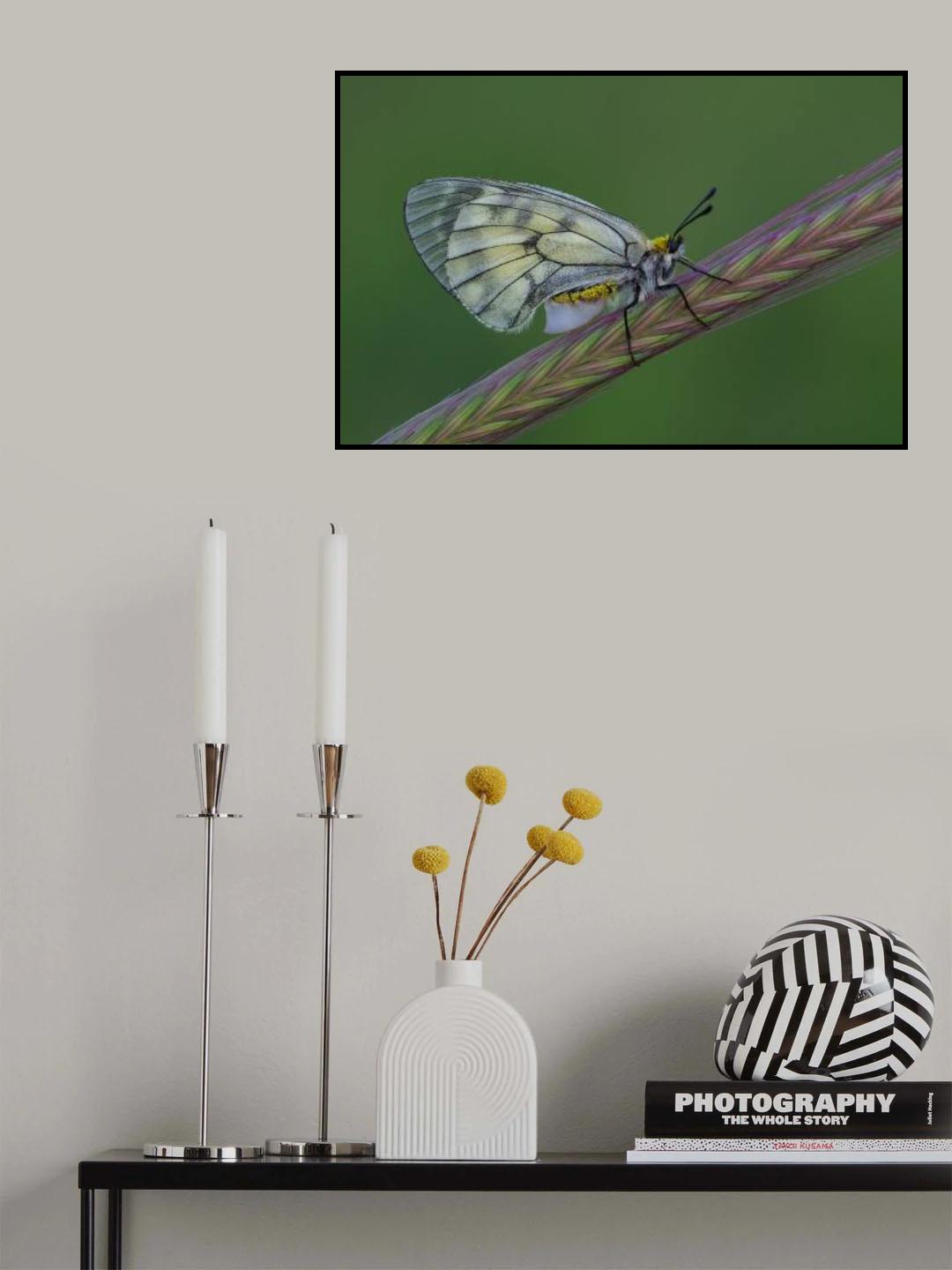 Colorful Poster och Canvastavla