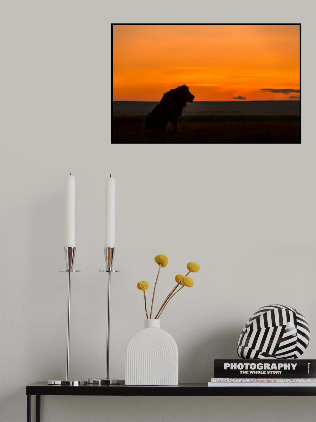 King in Sunrise Poster och Canvastavla