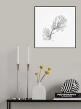 Lone Tree in Winter (Aerial View) Poster och Canvastavla
