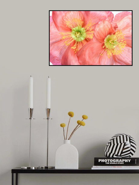Papaver Poster och Canvastavla