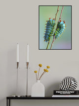 The encounter Poster och Canvastavla