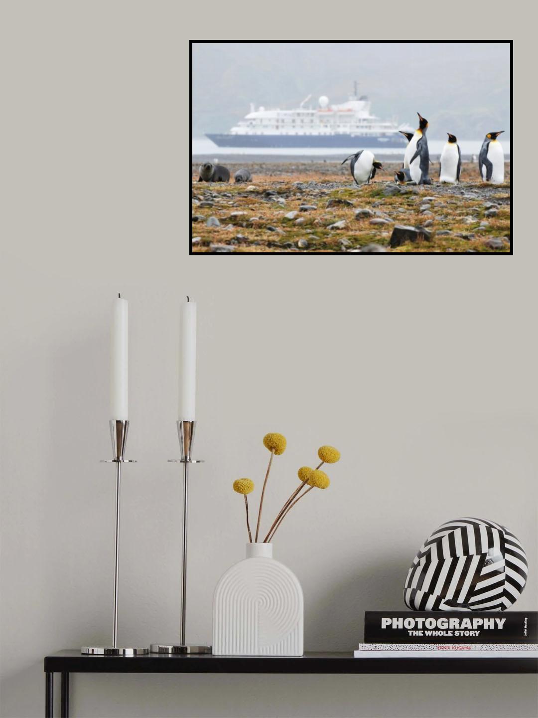 Not another cruise ship Poster och Canvastavla